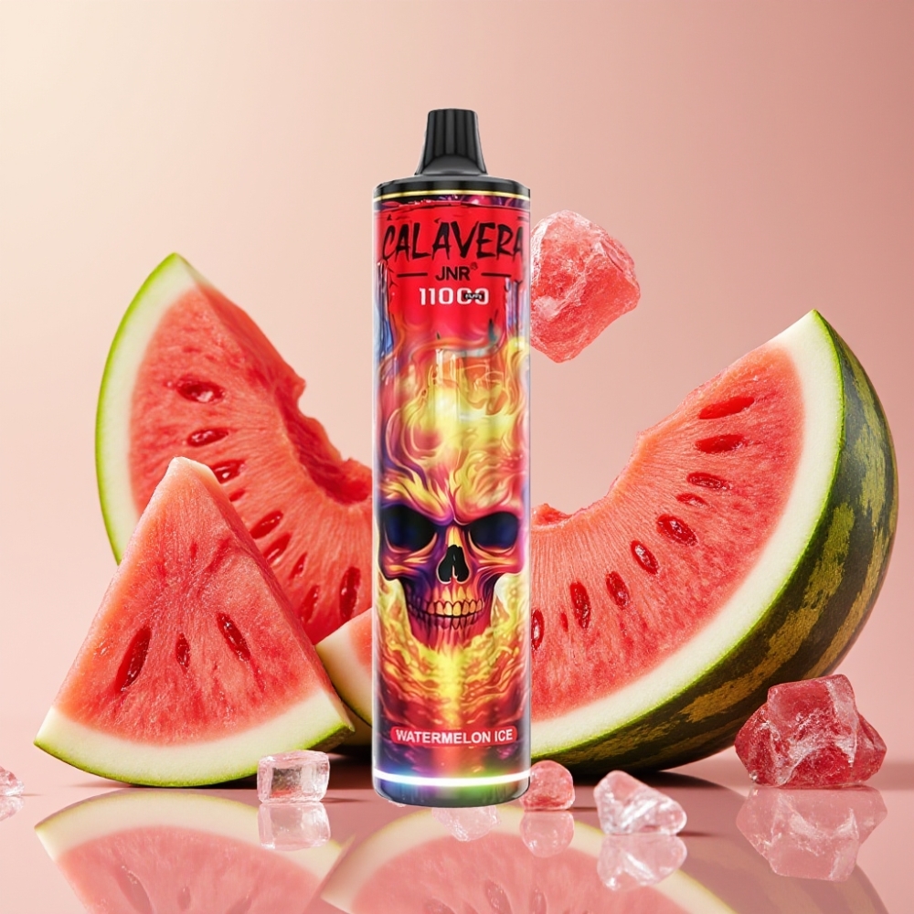 JNR Calavera 11000 Puffs Desechable Vape Sandía Helada con Puerto Type-C y 850 mAh