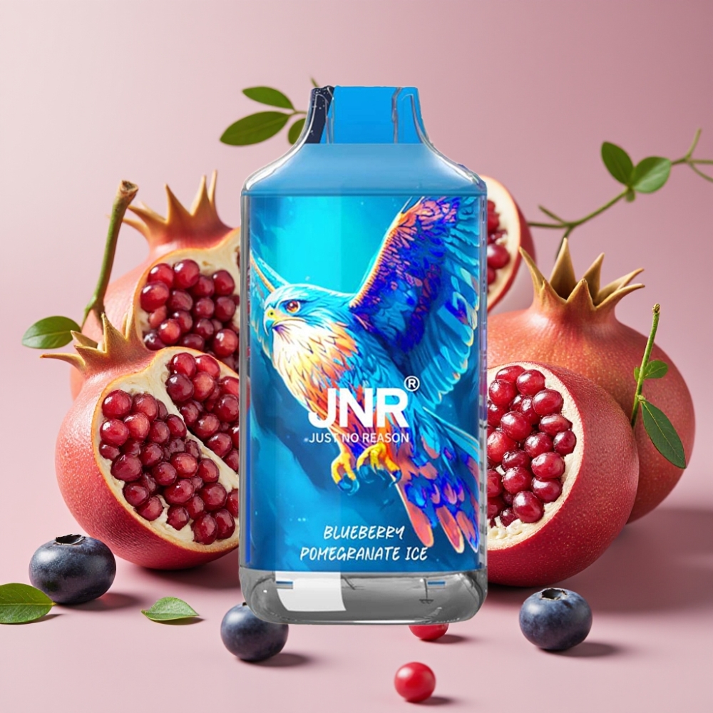 JNR Falcon 16000 Puffs Vape Dispositivo Arándano Granada Hielo 850mAh 22ml