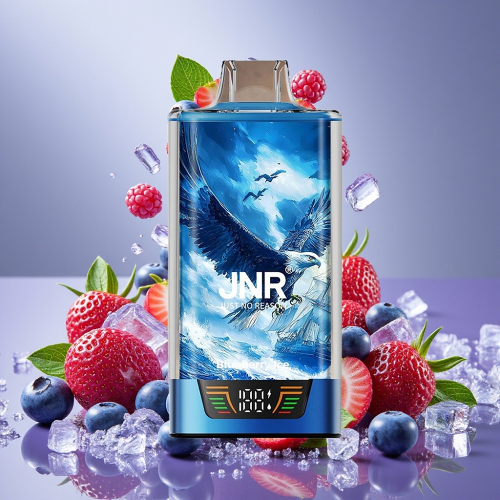 JNR Falcon Pro 28000 Desechable Vape Arándano Helado con 28000 Caladas y 30ml
