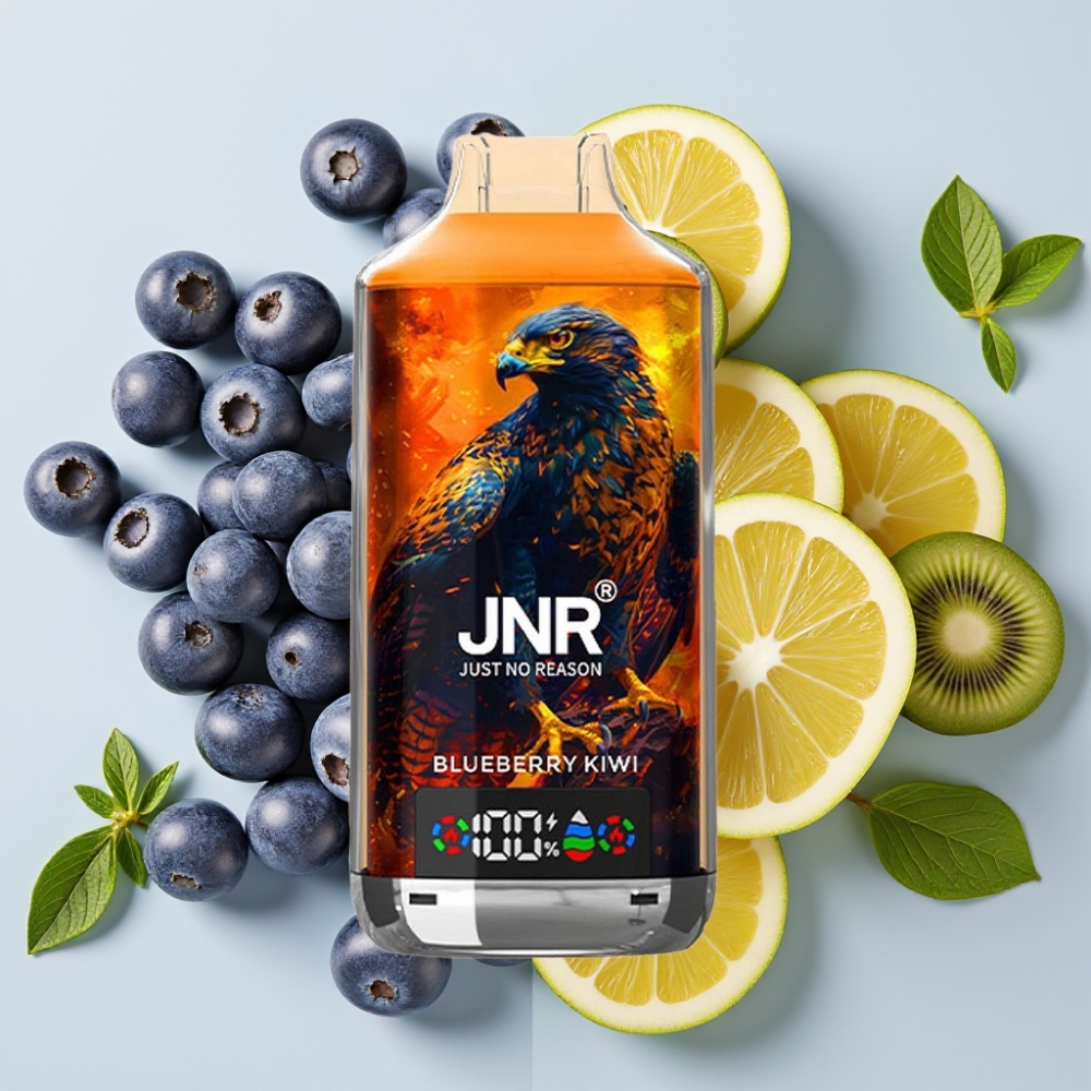 JNR Falcon X 18000 Puffs Vape Desechable Arándano Kiwi con Carga Rápida Type-C