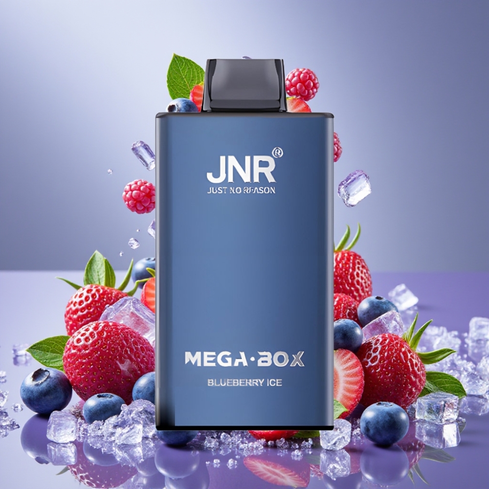 JNR Mega Box 25000 Puffs Desechable Vape Arándano Helado con Carga Rápida Type-C y Batería de 850mAh