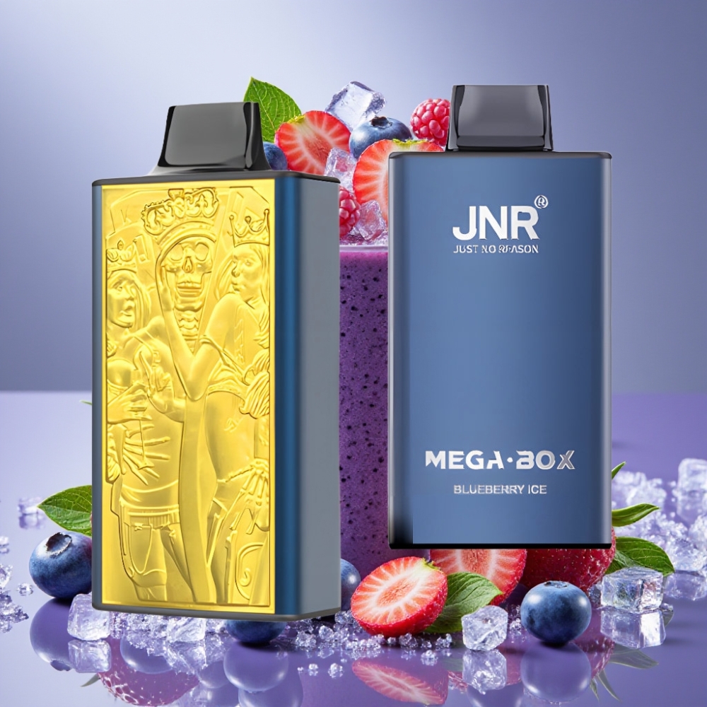 JNR Mega Box 25000 Puffs Desechable Vape Arándano Helado con Carga Rápida Type-C y Batería de 850mAh