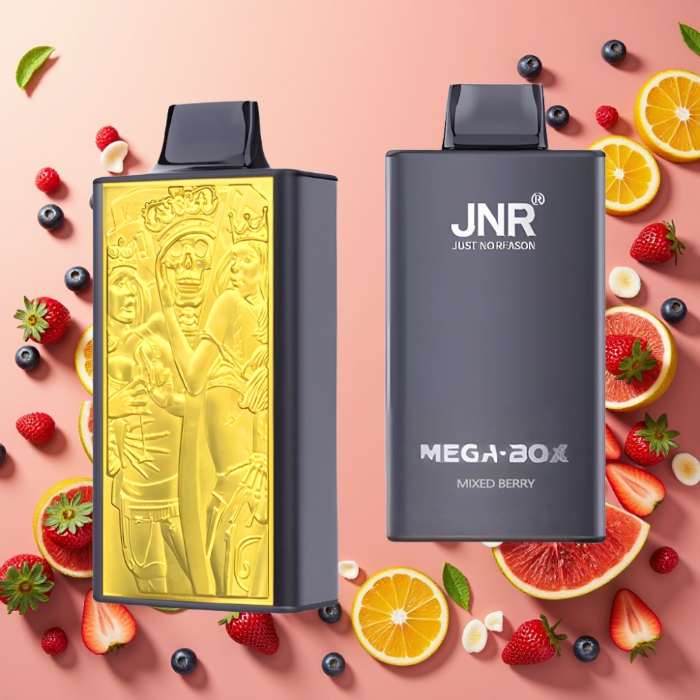 JNR Mega Box 25000 Puffs Desechable Vape Baya Mixta con Carga Rápida Type-C y Doble Bobina Mesh