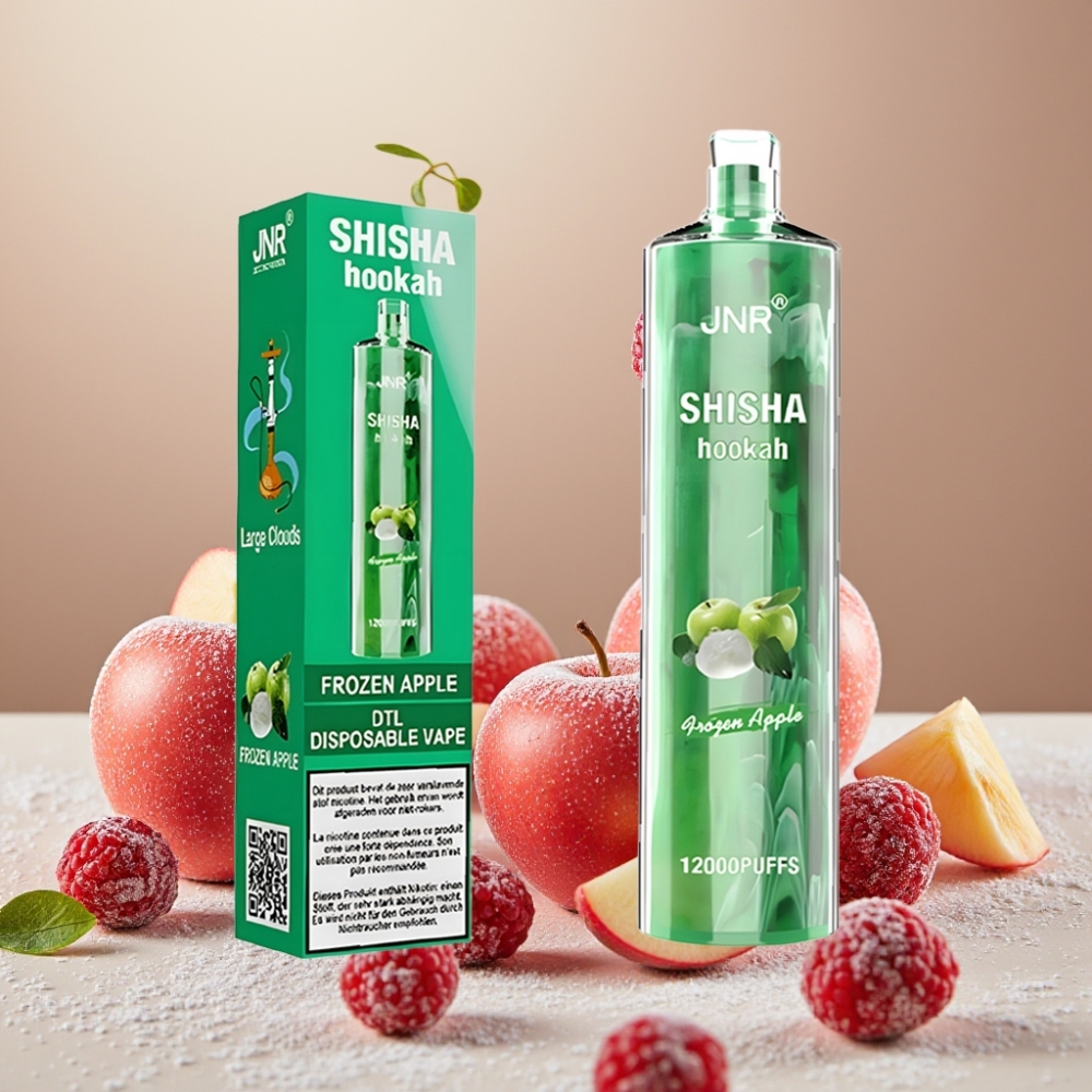 JNR Shisha Hookah 12000 Puffs Manzana Helada Disposable Vape con carga rápida Type-C