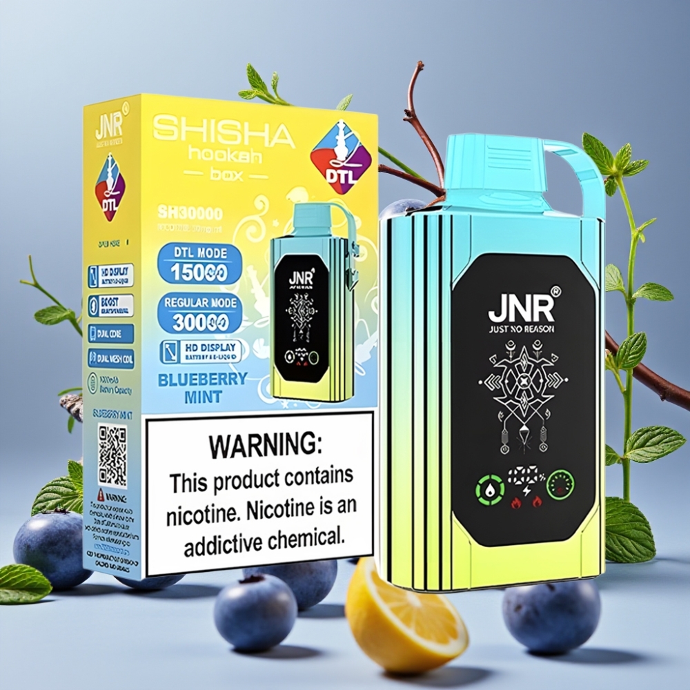 JNR Shisha Hookah Box 20500 Puffs Vape Disposable Menta Arándano con Carga Tipo-C