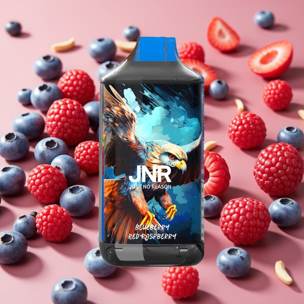 JNR Falcon 16000 Puffs Vape Desechable Arándano Frambuesa Roja 22ml Dual Mesh
