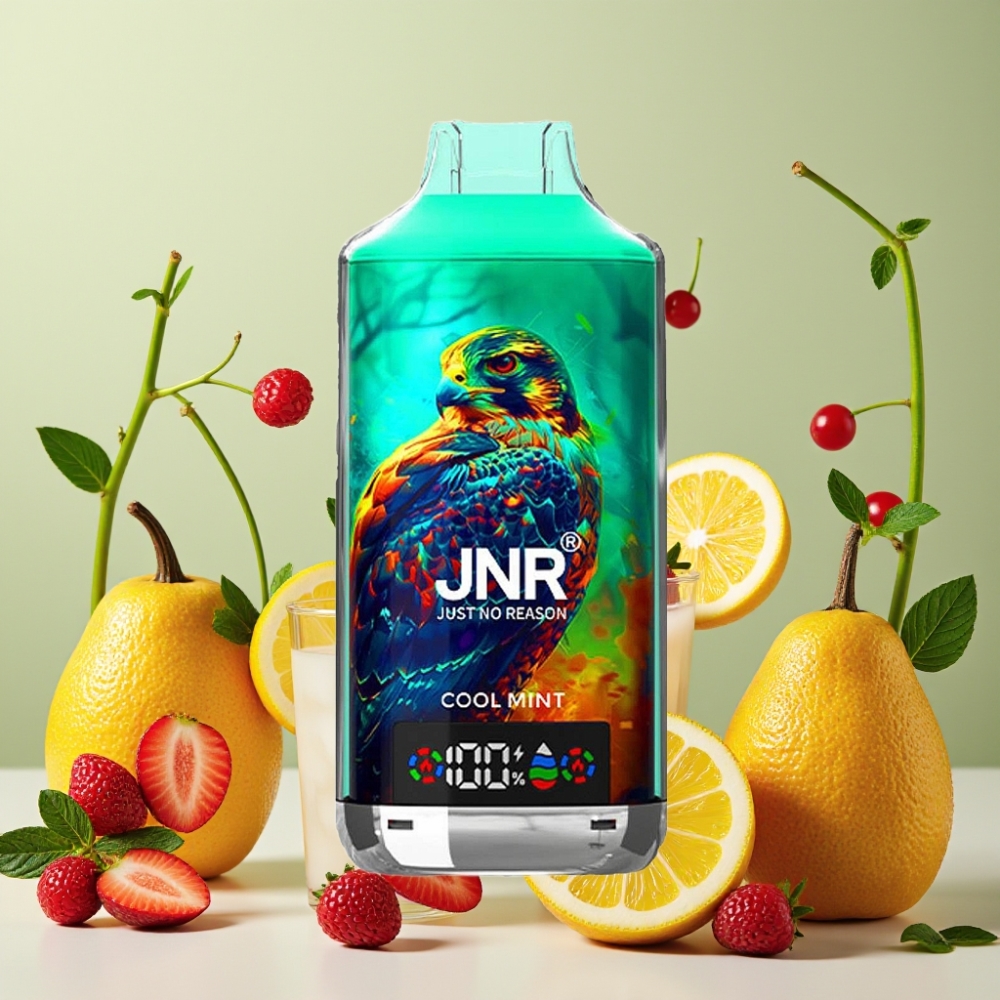 JNR Falcon X 18000 Puffs Vape Menta Refrescante con Pantalla Digital y Carga Rápida Type-C