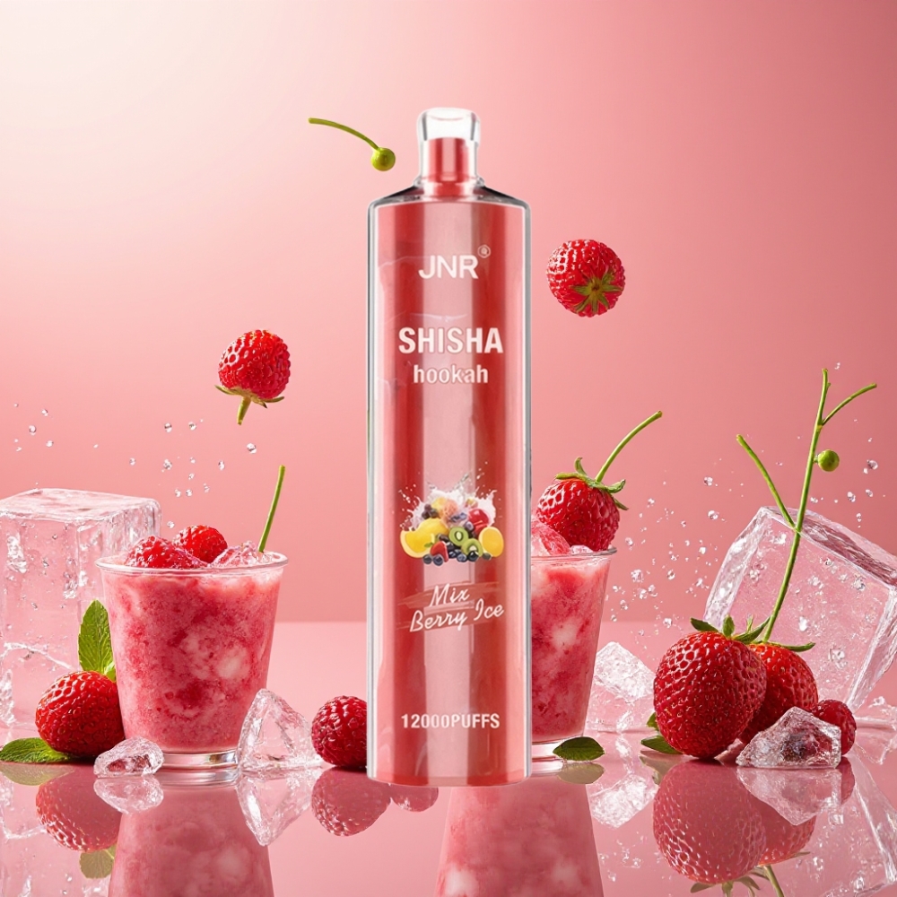 JNR Shisha Hookah 12000 Puffs Vape Desechable Baya Helada 24ml 750mAh