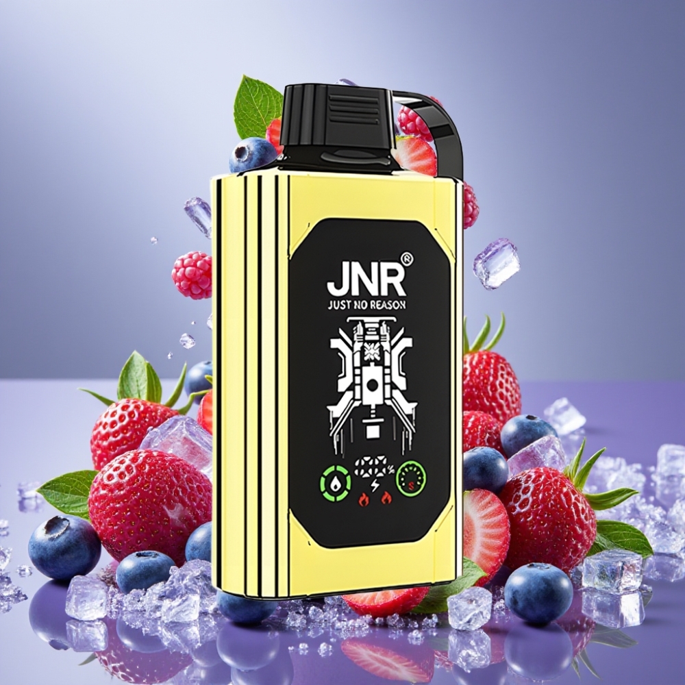 JNR Shisha Hookah Box 20500 Puffs Vape Desechable Helado de Arándano con Dual Mesh Coil