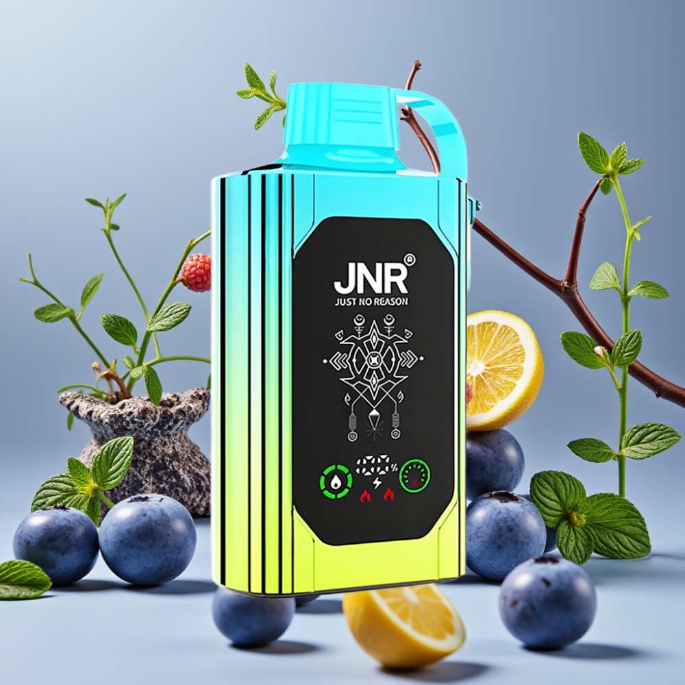 JNR Shisha Hookah Box 20500 Puffs Vape Disposable Menta Arándano con Carga Tipo-C